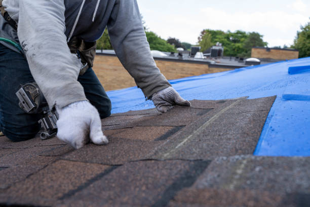 Gutter Installation and Roofing in Greenwood, MS